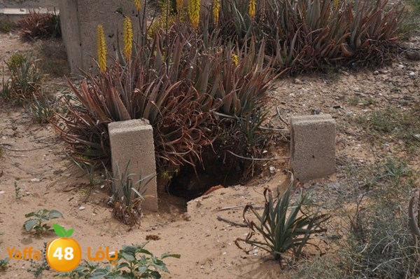 7era2 mo2asaasa (26).JPG